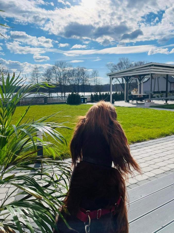 Ekosfera Pilawa Daire Borne Sulinowo Dış mekan fotoğraf